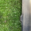 Querlenker hinten Audi A4 B6 (2000-2006) 8E0501529K