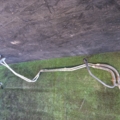 Rohre 2 Stück Kühlung Automatikgetriebe Opel Omega B (1994-2003) 95025067