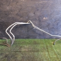 Rohre 2 Stück Kühlung Automatikgetriebe Opel Omega B (1994-2003) 95025067