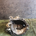Getriebe Citroen, Peugeot 307 (2001-2008), BERLINGO 2003-2008 20DP48