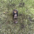 Ansauglufttemperatursensor Volkswagen Golf IV (1997-2006) 058905379