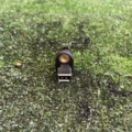 Ansauglufttemperatursensor Volkswagen Golf IV (1997-2006) 058905379